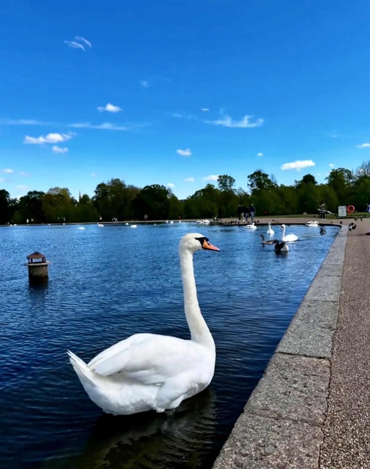 Apartamento Hyde Park - Prime Location, Zone 1